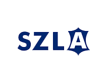 深圳市皮鞋行业协会