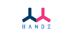 BANDZ班队长